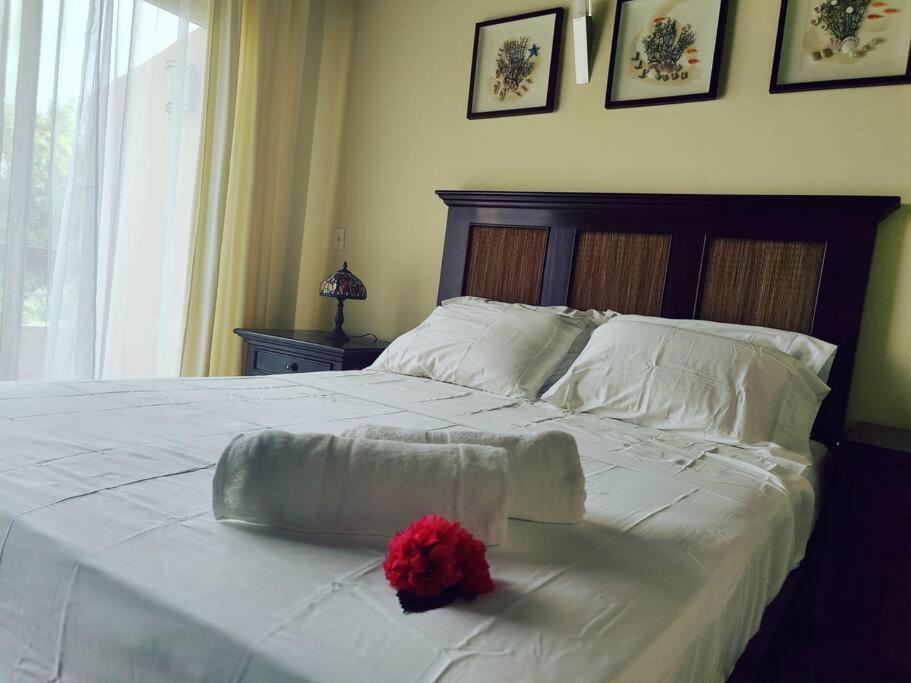 Aruba Family Oasis 2Br Pool 3Min Walk To Eagle Beach Palm Beach ภายนอก รูปภาพ