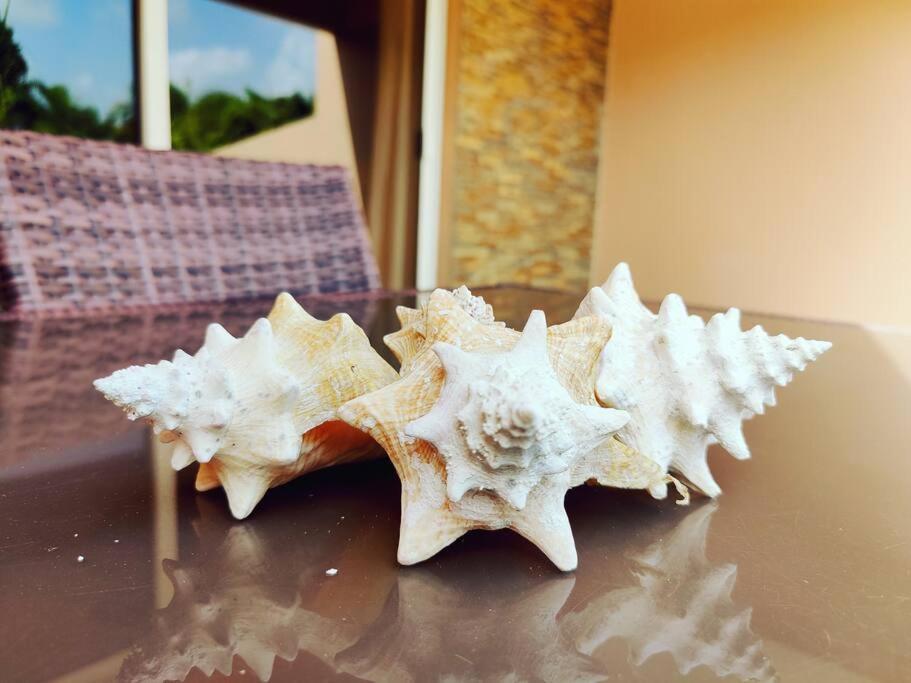 Aruba Family Oasis 2Br Pool 3Min Walk To Eagle Beach Palm Beach ภายนอก รูปภาพ
