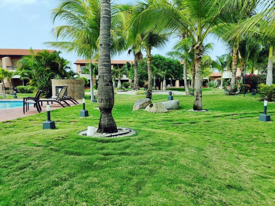 Aruba Family Oasis 2Br Pool 3Min Walk To Eagle Beach Palm Beach ภายนอก รูปภาพ
