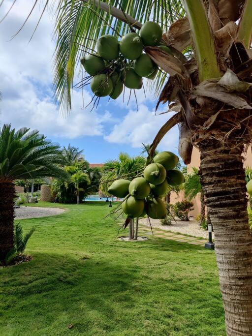 Aruba Family Oasis 2Br Pool 3Min Walk To Eagle Beach Palm Beach ภายนอก รูปภาพ