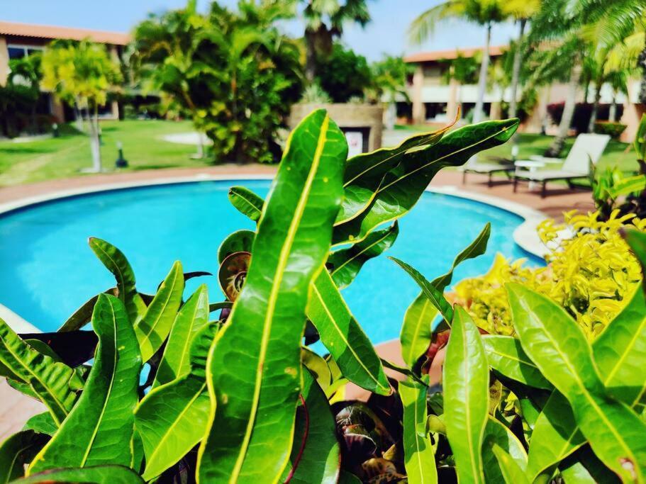 Aruba Family Oasis 2Br Pool 3Min Walk To Eagle Beach Palm Beach ภายนอก รูปภาพ