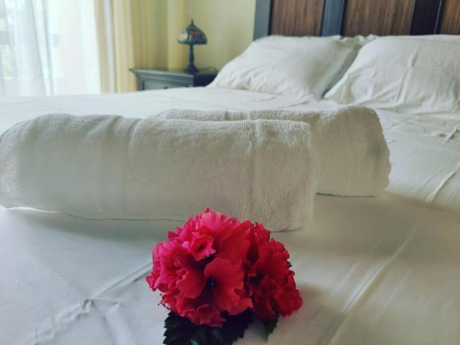 Aruba Family Oasis 2Br Pool 3Min Walk To Eagle Beach Palm Beach ภายนอก รูปภาพ