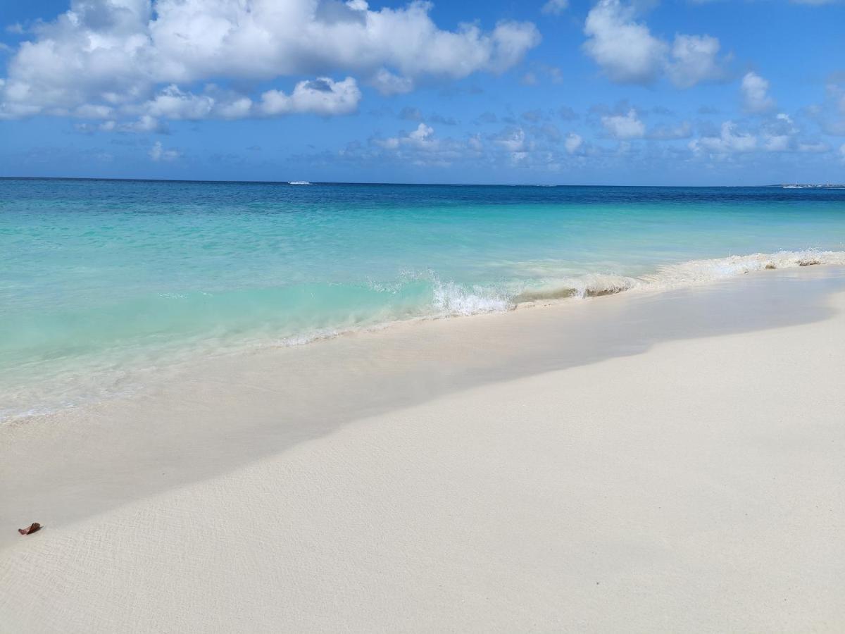 Aruba Family Oasis 2Br Pool 3Min Walk To Eagle Beach Palm Beach ภายนอก รูปภาพ