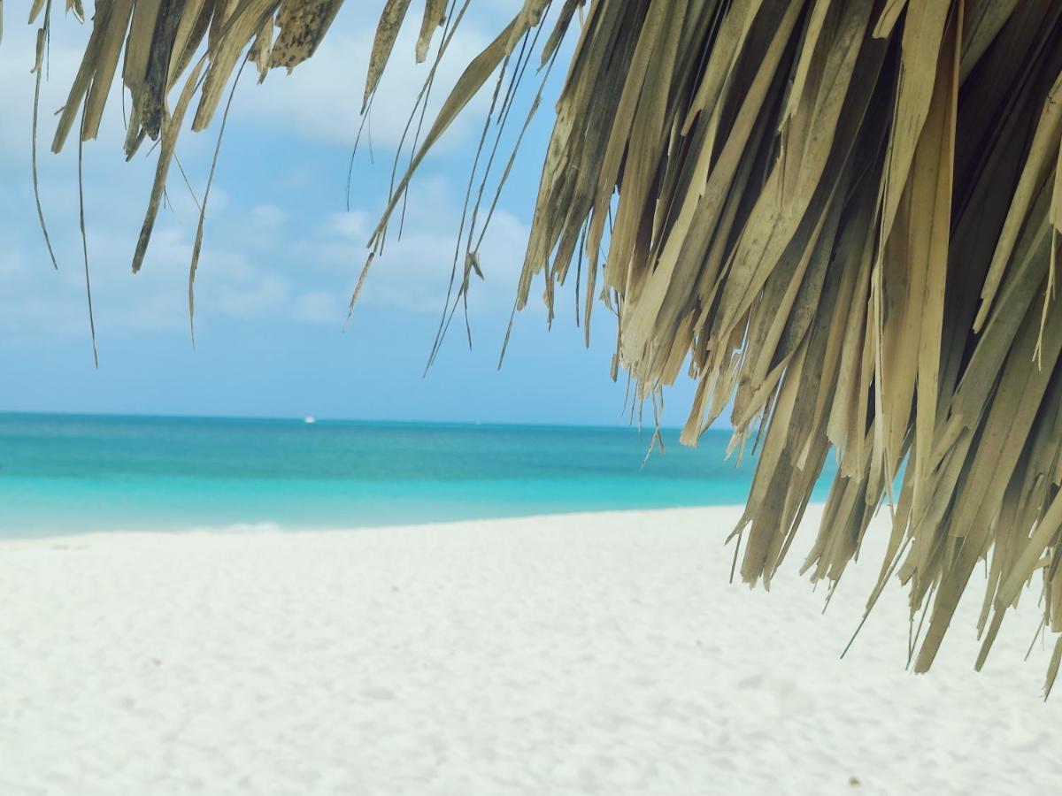 Aruba Family Oasis 2Br Pool 3Min Walk To Eagle Beach Palm Beach ภายนอก รูปภาพ