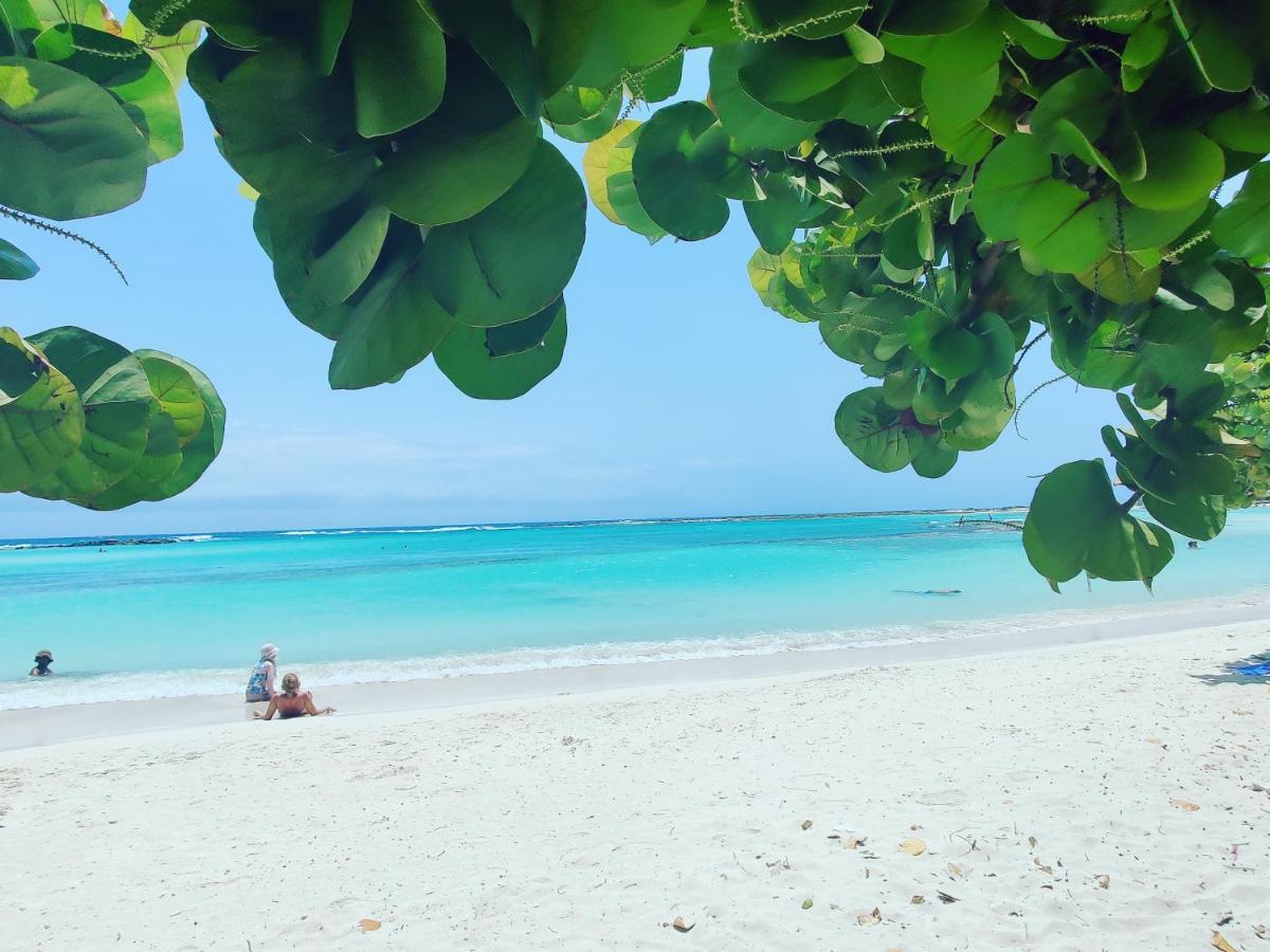 Aruba Family Oasis 2Br Pool 3Min Walk To Eagle Beach Palm Beach ภายนอก รูปภาพ
